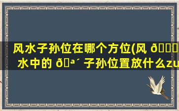 风水子孙位在哪个方位(风 🐋 水中的 🪴 子孙位置放什么zui
好)